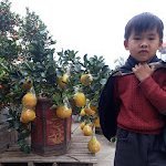 Thấy có Follow, Cmt, ❤️ mới là trả liền!
Cùng nhau phát triển X và biến X thành nền tảng xã hội phổ biến nhất thế giới!