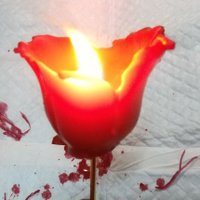 ラッコプランニング (@rakko_planning) 's Twitter Profile Photo ラッコプランニング (@rakko_planning) 's Twitter Profile Photo