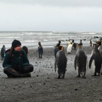 Maud Quéroué (@maudqueroue) 's Twitter Profile