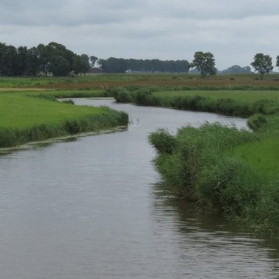 bibliothecaris reiziger ontdekker toerist doet een poging zijn leefgebied hedendaags te doorgronden en in historische context te plaatsen.