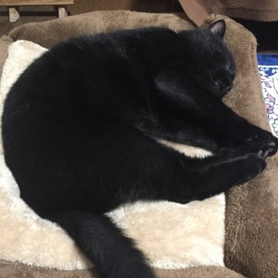 tateno2321201's profile picture. RUNTEQ卒