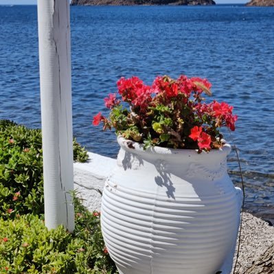 MonikaRoussou's profile picture. 