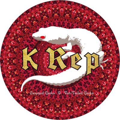 KRepkose0152's profile picture. 網走市でフトアゴヒゲトカゲをメインに、レオパ✨ニシアフ✨クレステッドゲッコー✨繁殖・販売しています✨✨よろしくお願いします✨✨ ショップ住所網走市新町3丁目148-1 営業日、土曜日14時〜17:30、日曜日13時〜17:30です。