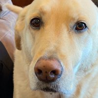 Tbay2 (@tbay2) 's Twitter Profile