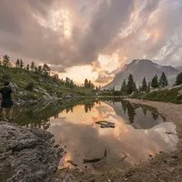 hum (@ufm) 's Twitter Profile