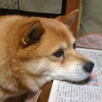 まったりの中の人。 (@mattari_error) 's Twitter Profile