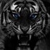 BlackTiger.79 (@blacktiger7979) Twitter profile photo BlackTiger.79 (@blacktiger7979) Twitter profile photo