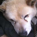 rose_haney - @rose_haney - Twitter