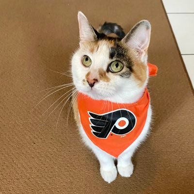 Philadelphia Flyers Cat Jersey