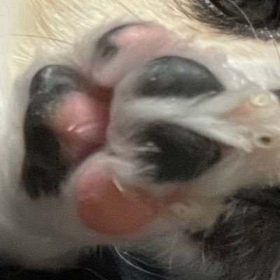 たり。さんのプロフィール画像