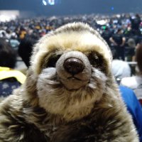 sas だぁ~り~🦥🎤 (@sas67671993) 's Twitter Profile