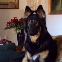 Darby (@darby1044) 's Twitter Profile