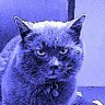 Flh3Official's profile picture. Hybrid & orchestral works,
TV scores & film music
On Youtube, Instagram & Bandcamp
https://t.co/Rdl6nABbO5
https://t.co/X9hXLIfzwy 
No DM