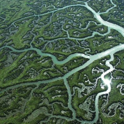 Somos un proyecto de aprendizaje en el IES Diamantino sobre la naturaleza a través del lenguaje: literatura, comunicación, MMSS. Agradecemos colaboración