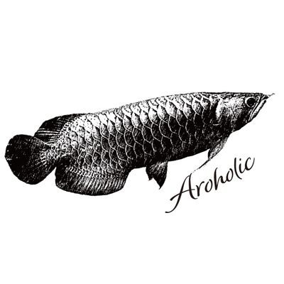 AROHOLIC2222 Profile Picture