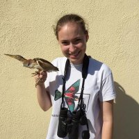 Jaroa López-Carrasco (@jaroalopez) 's Twitter Profile