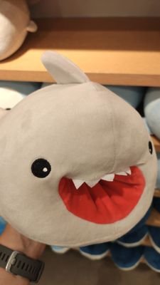 NotADispenser's profile picture. Another account for screaming into the void