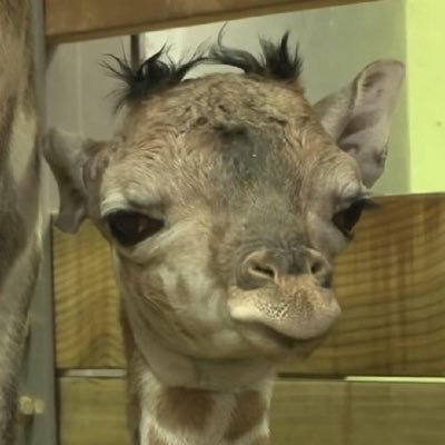 jpsg_tt's profile picture. เห้อ