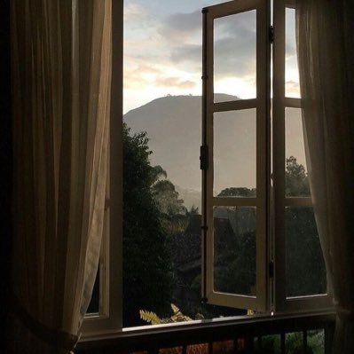 rosenyhj's profile picture. 비혼이 답이다