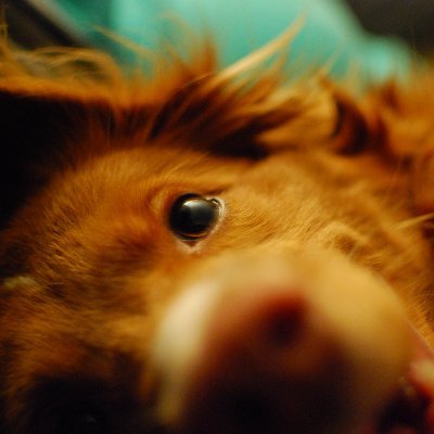 I make stuff. Hire me for custom afterburner effects or worldscripts? https://t.co/xCCl839OUQ msfsdevthings on https://t.co/KIYD4nRKAS
He/him 🇳🇴