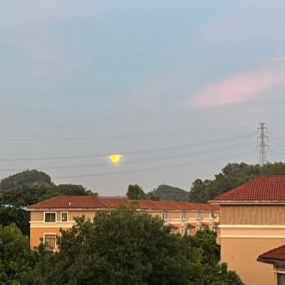 suchunhua21's profile picture. 一个追求自由的灵魂