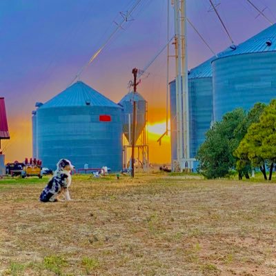 Father of 5 Redheads, Husband to a Redhead, Agricultural Roulette with Alfalfa, Cotton and Wheat. #LivingTheDream#TexasPanhandle