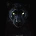 princeton panthers Select ⚾️⚾️ (@selectpanthers) Twitter profile photo princeton panthers Select ⚾️⚾️ (@selectpanthers) Twitter profile photo
