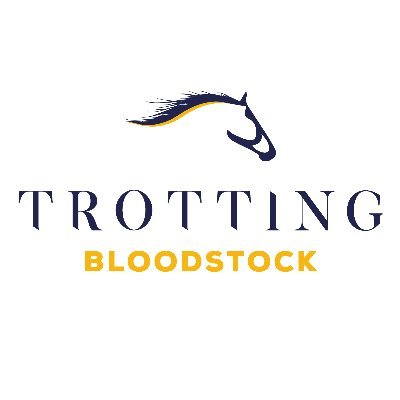 🏇🏻Bloodstock Agent and Horseracing Consultancy.  📍Based in France.