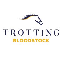 Trotting Bloodstock(@TrottingBlstock) 's Twitter Profile Photo