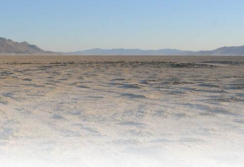 Playafy's profile picture. A webart project for all things burning man inspired.