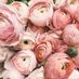 PNW Weddings (@pnw_weddings) Twitter profile photo PNW Weddings (@pnw_weddings) Twitter profile photo