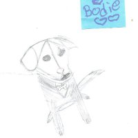 Julie B (@joulesbrunelle) 's Twitter Profile Photo Julie B (@joulesbrunelle) 's Twitter Profile Photo