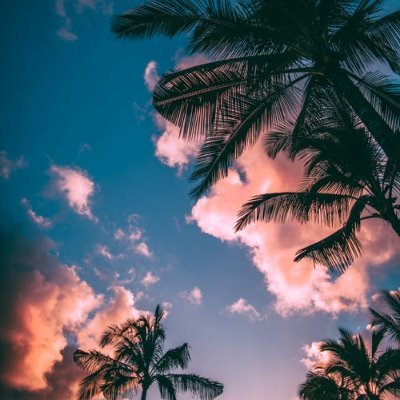 Sassypantz666's profile picture. 0