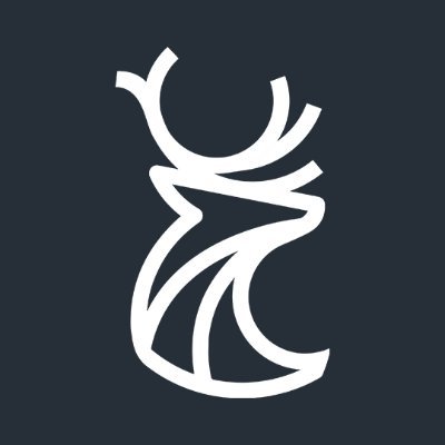 Buckhead Coalition Profile