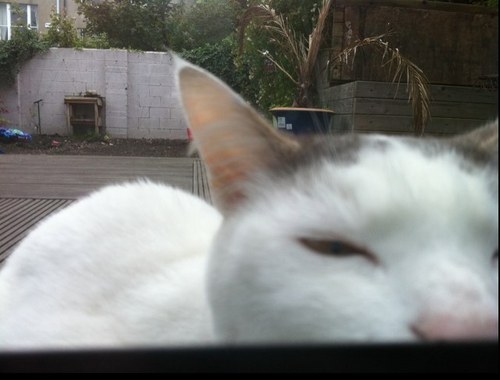 foc187's profile picture. artist mgr for too long, music, love, life, family, culture, roots, learning, freedom and liberation, wisdom, knowledge and understanding