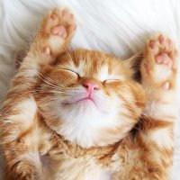 Peace💜🌺 (@eirinidel) 's Twitter Profile Photo