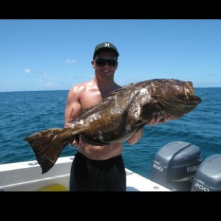 GraveytraIn66's profile picture. 