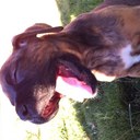 TIM LEAHY - @AZCAVEMAN - Twitter