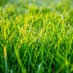 Please Touch Some Grass (@sploodgem) Twitter profile photo Please Touch Some Grass (@sploodgem) Twitter profile photo