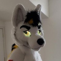⚡BestBigBoi⚡ (@rinwolf_) 's Twitter Profile