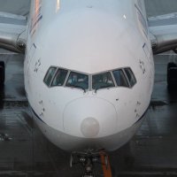 あおとり (@bluebirds_sky) 's Twitter Profile