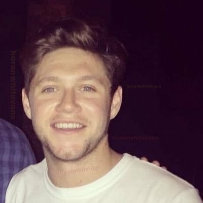 owner of niall con boina @nhvotes93