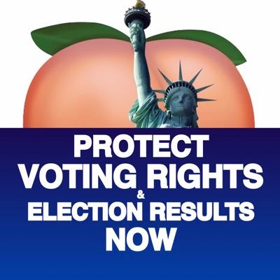 ⭐️PASS VOTING RIGHTS LEGISLATION ⭐️End racist gerrymandering & electoral college ⭐️#ExpandSCOTUS ⭐️#FlipGABlue ⭐️#HandMarkedPaperBallots