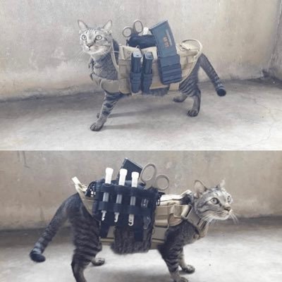 kjk33995986's profile picture. 