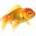 Samuel Jeng - @JengSamuel - Twitter