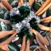 FPC Cheerleading (@fpchscheer) Twitter profile photo FPC Cheerleading (@fpchscheer) Twitter profile photo
