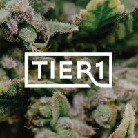 Tier1 (@tier1reserve) 's Twitter Profile