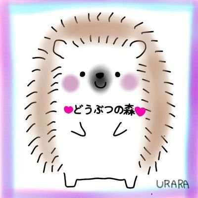 フォロワー整理整頓中!仲良くしてくれる人のみ!DMほとんど返せません(ポムポムプリンと情報は例外)