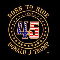 BornToRideFor45 (@borntoridefor45) 's Twitter Profile