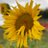 CALM_JVC's profile image